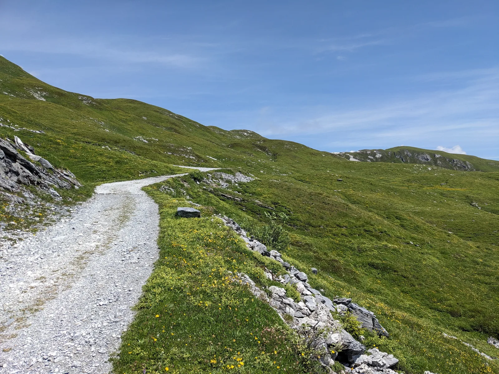 Bild 61