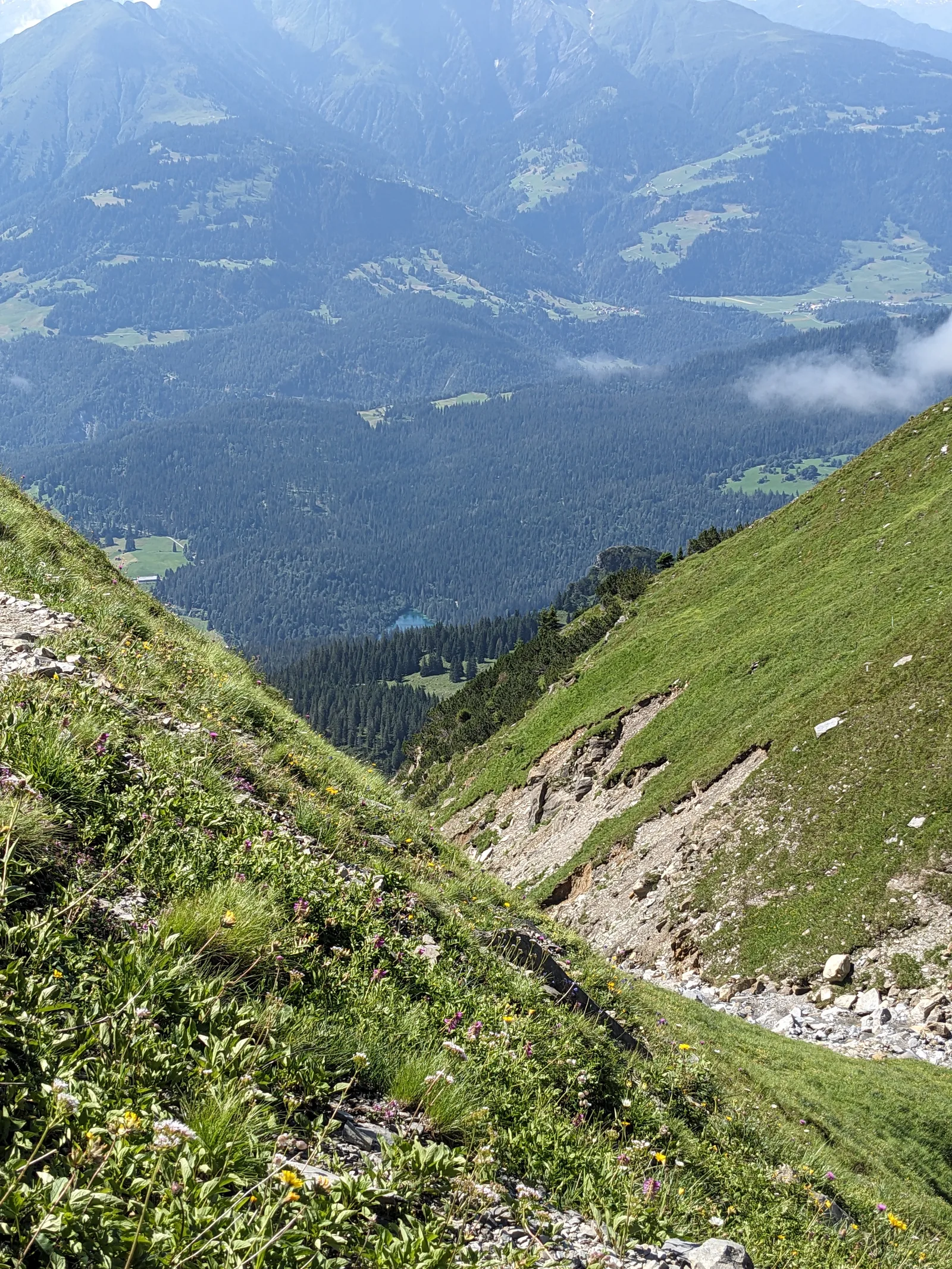 Bild 31