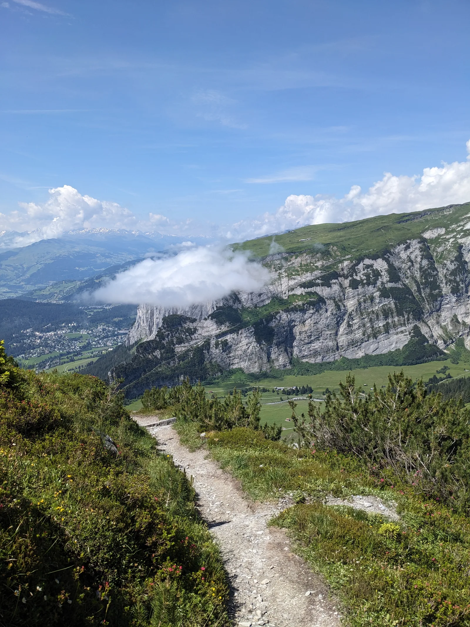 Bild 35