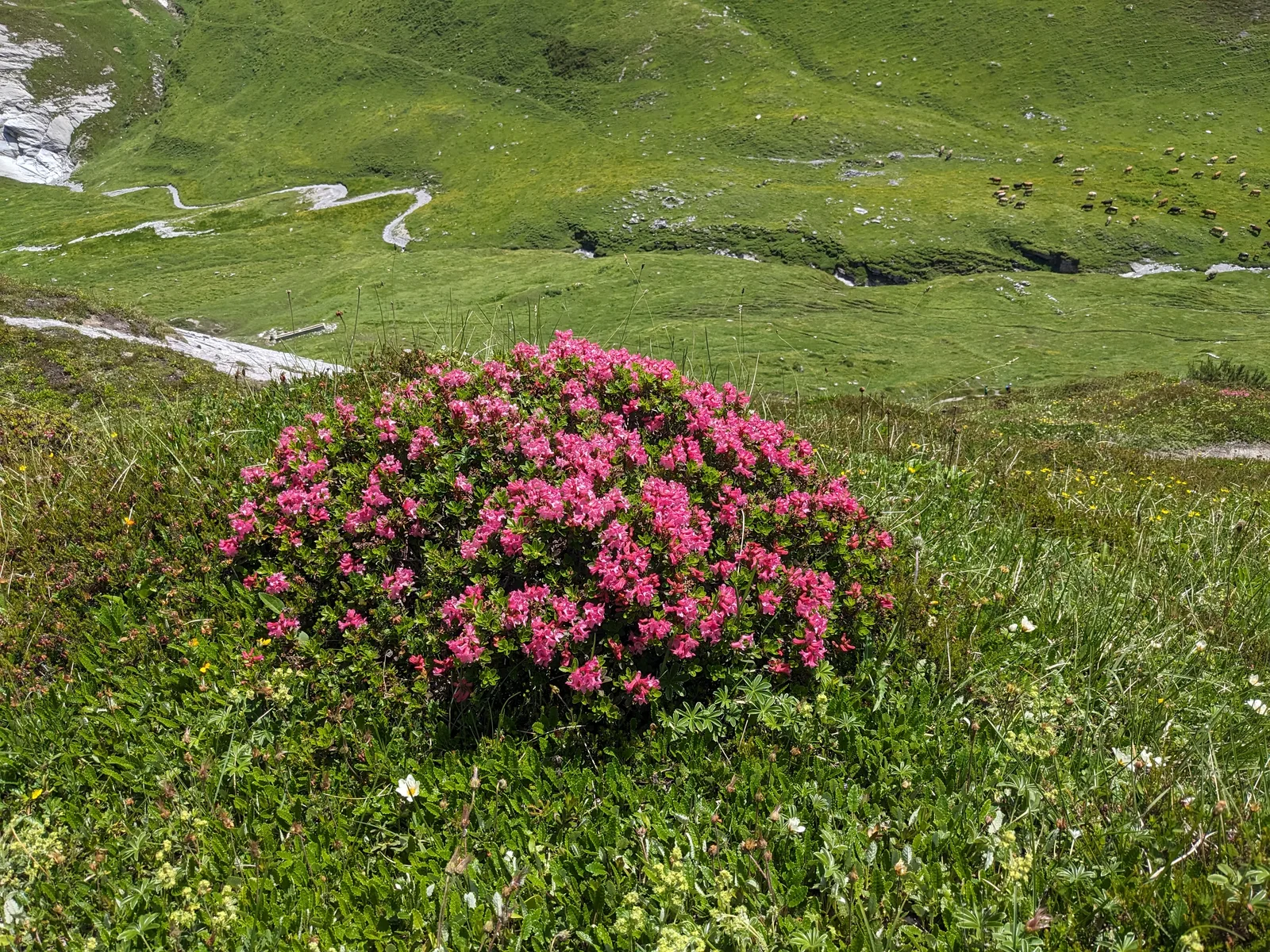 Bild 54