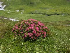 Bild 54