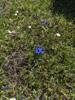Bild 40