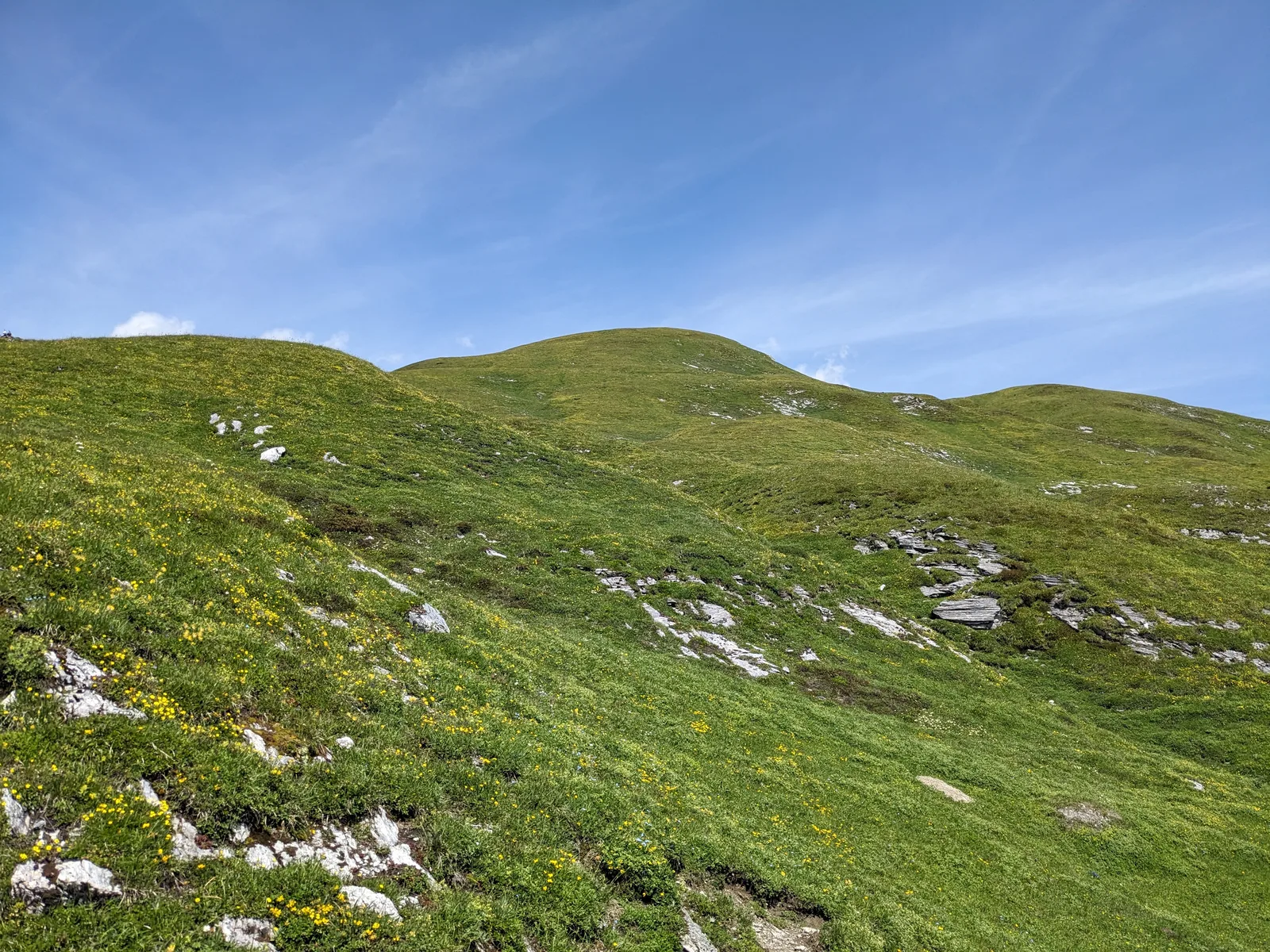 Bild 62