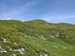 Bild 62