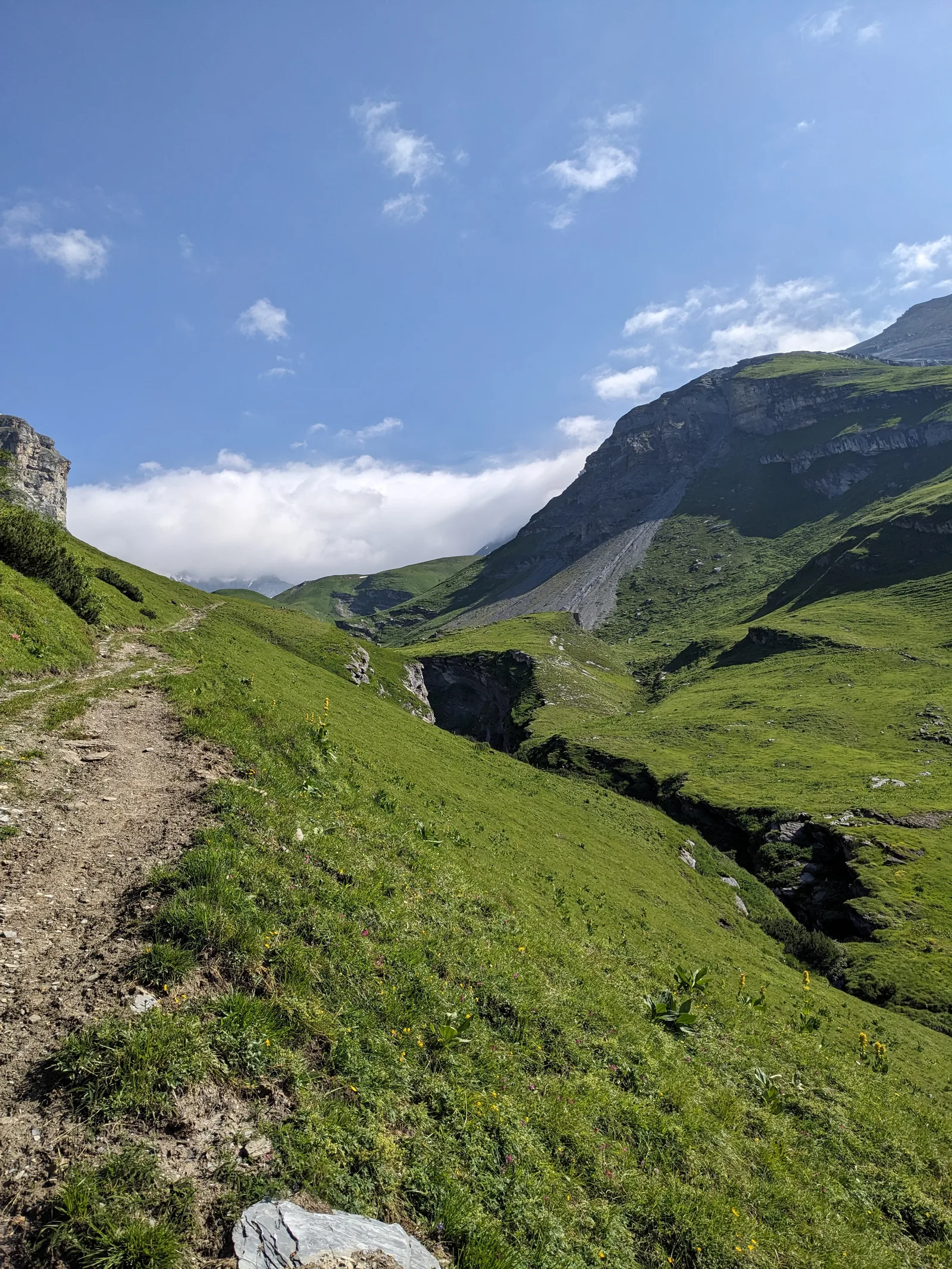 Bild 12