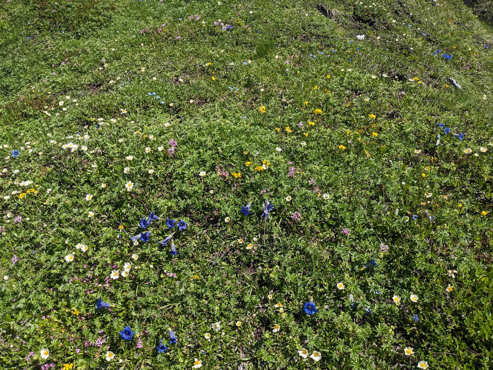 Bild 44