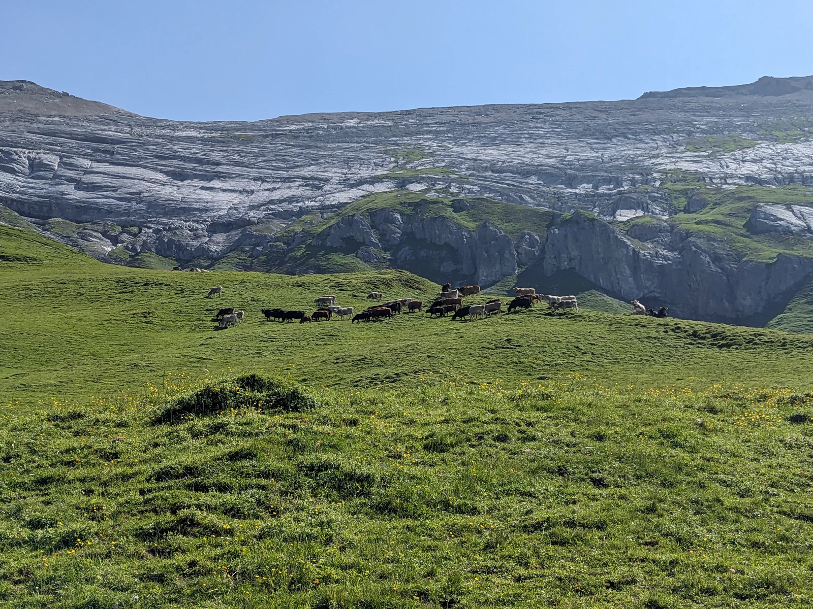 Bild 17