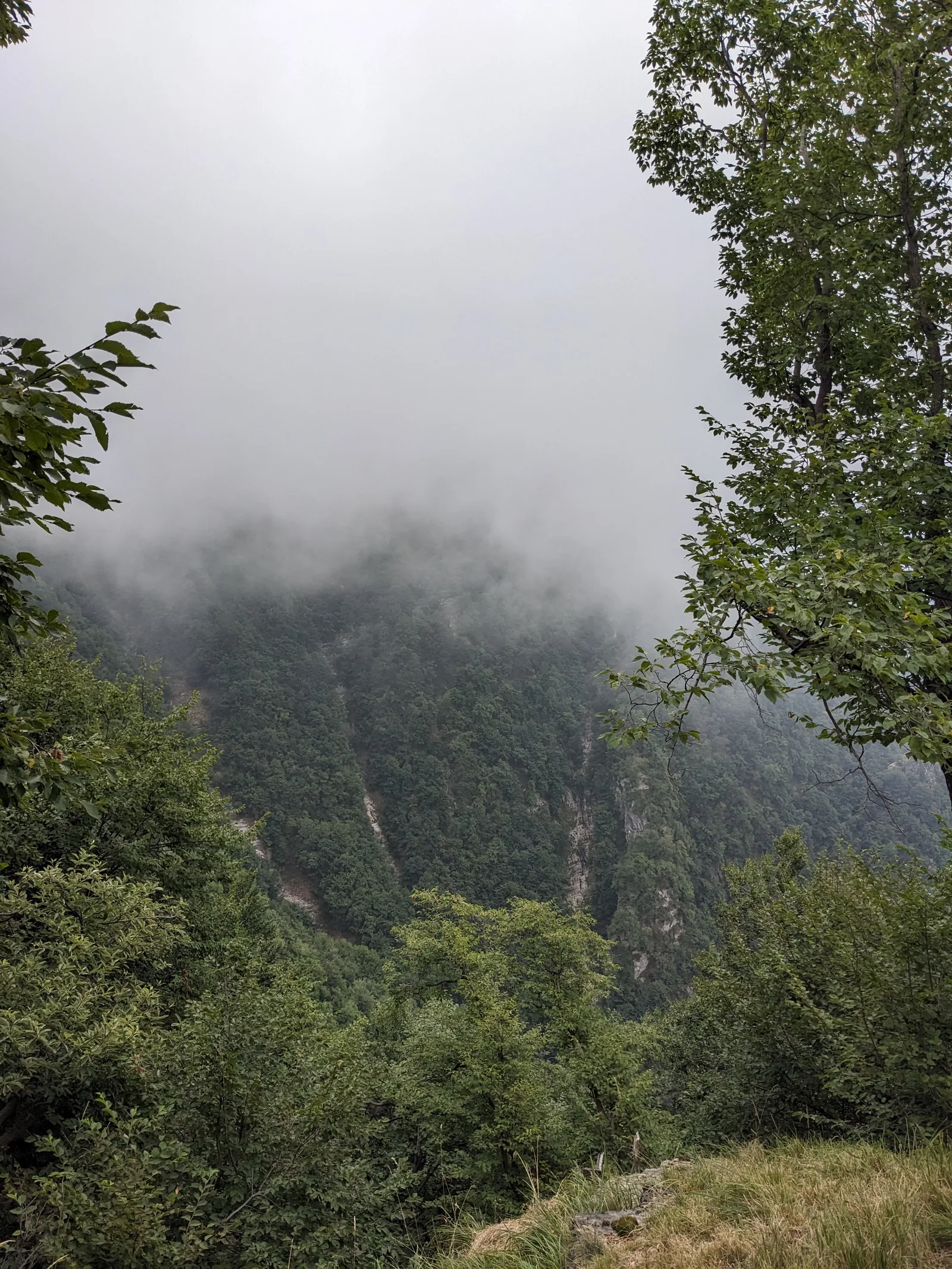 Bild 14