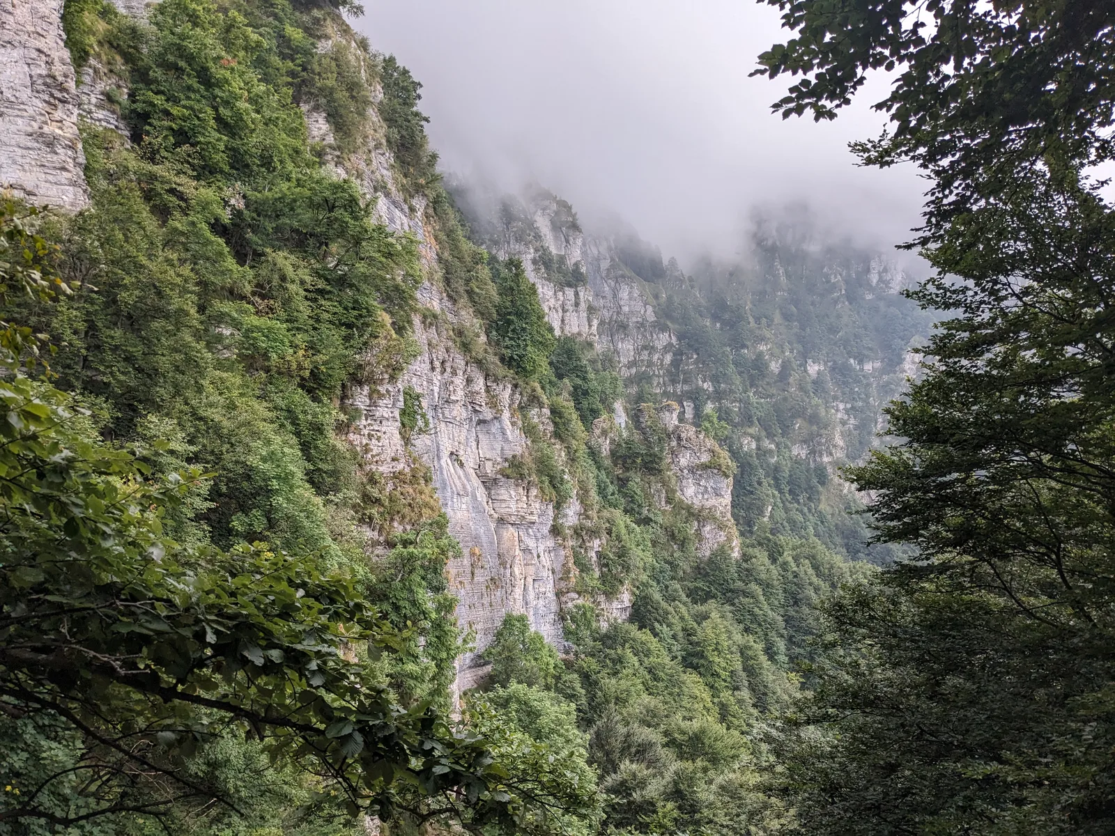 Bild 19