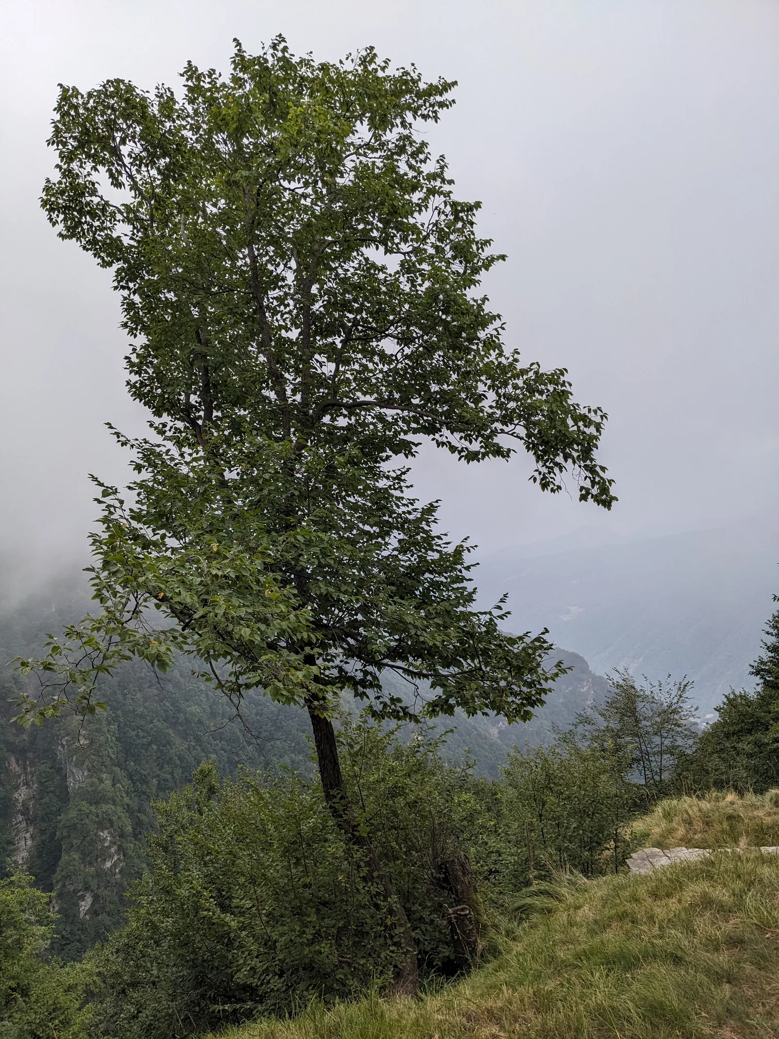 Bild 15
