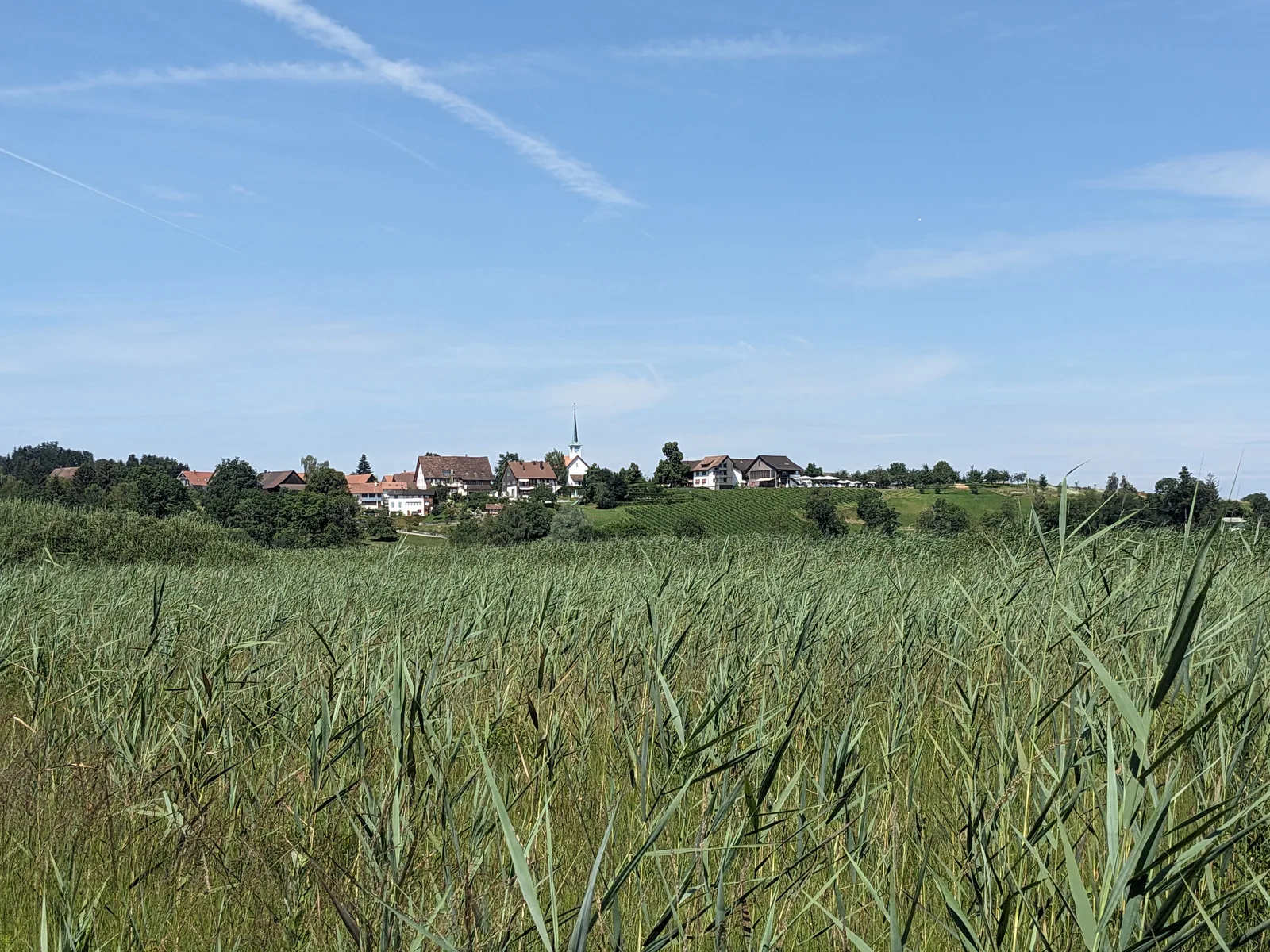 Bild 18