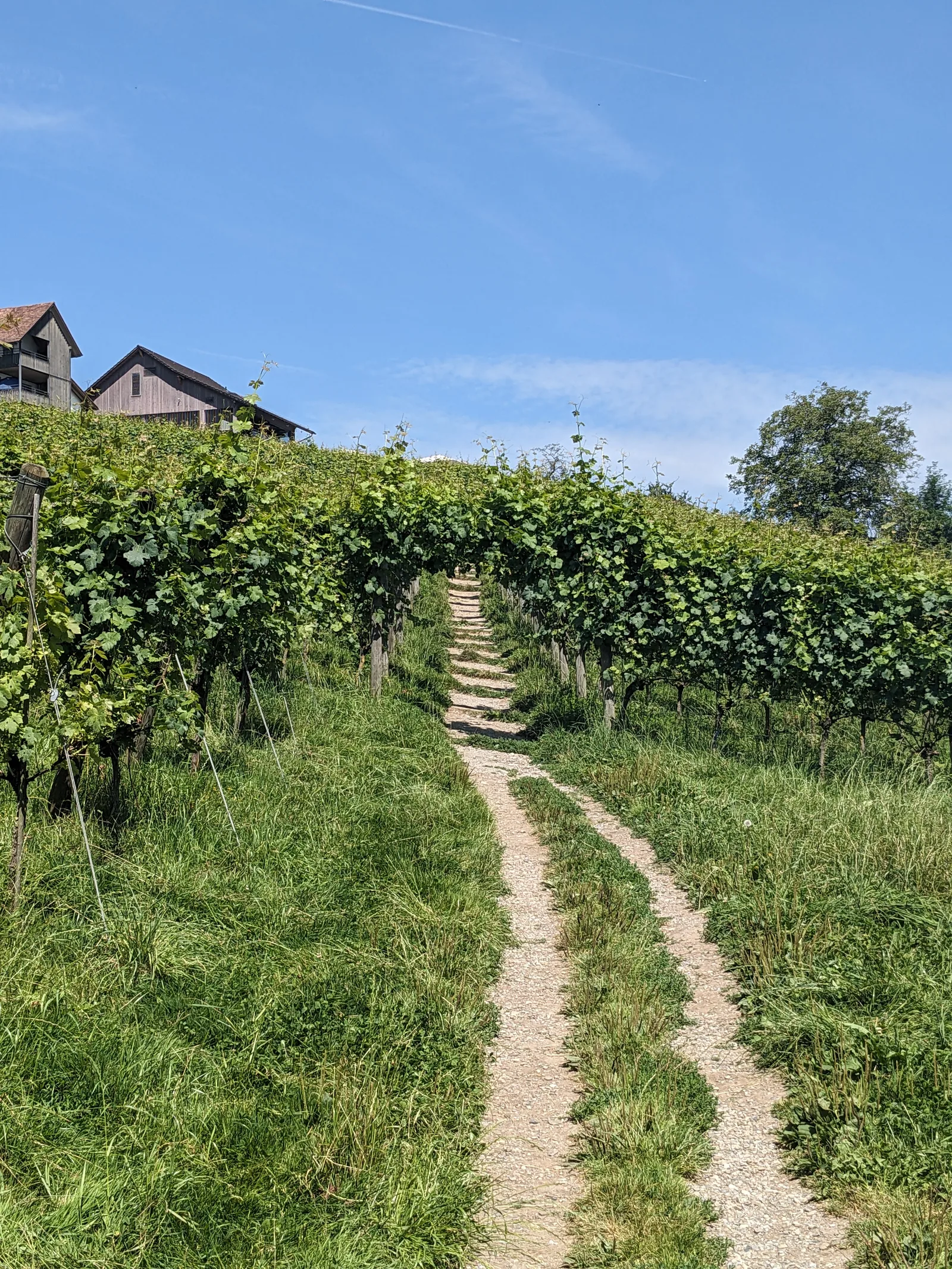 Bild 24