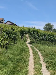 Bild 24