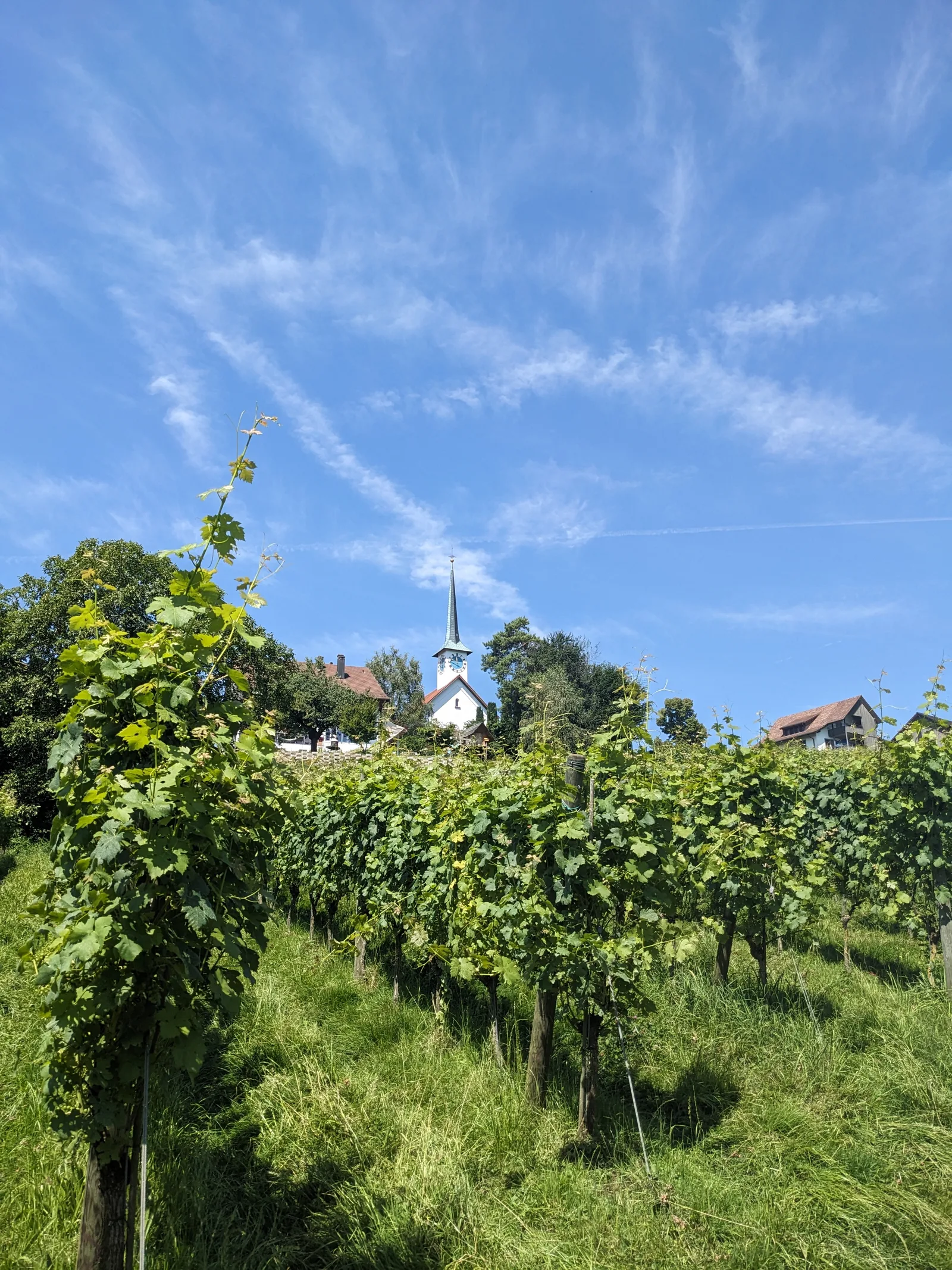 Bild 25