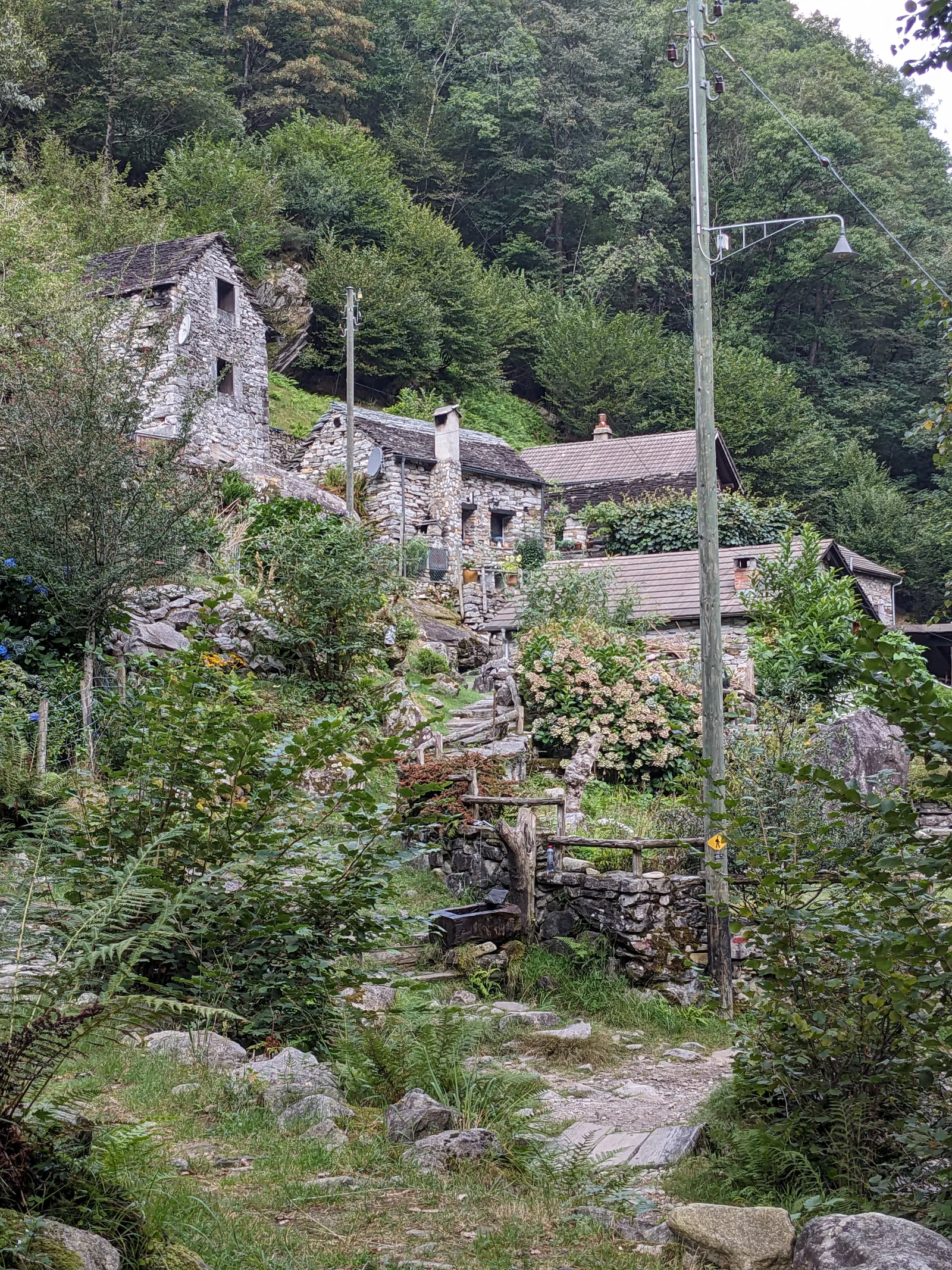 Bild 12