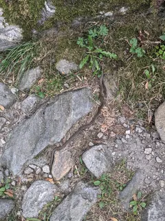 Bild 52