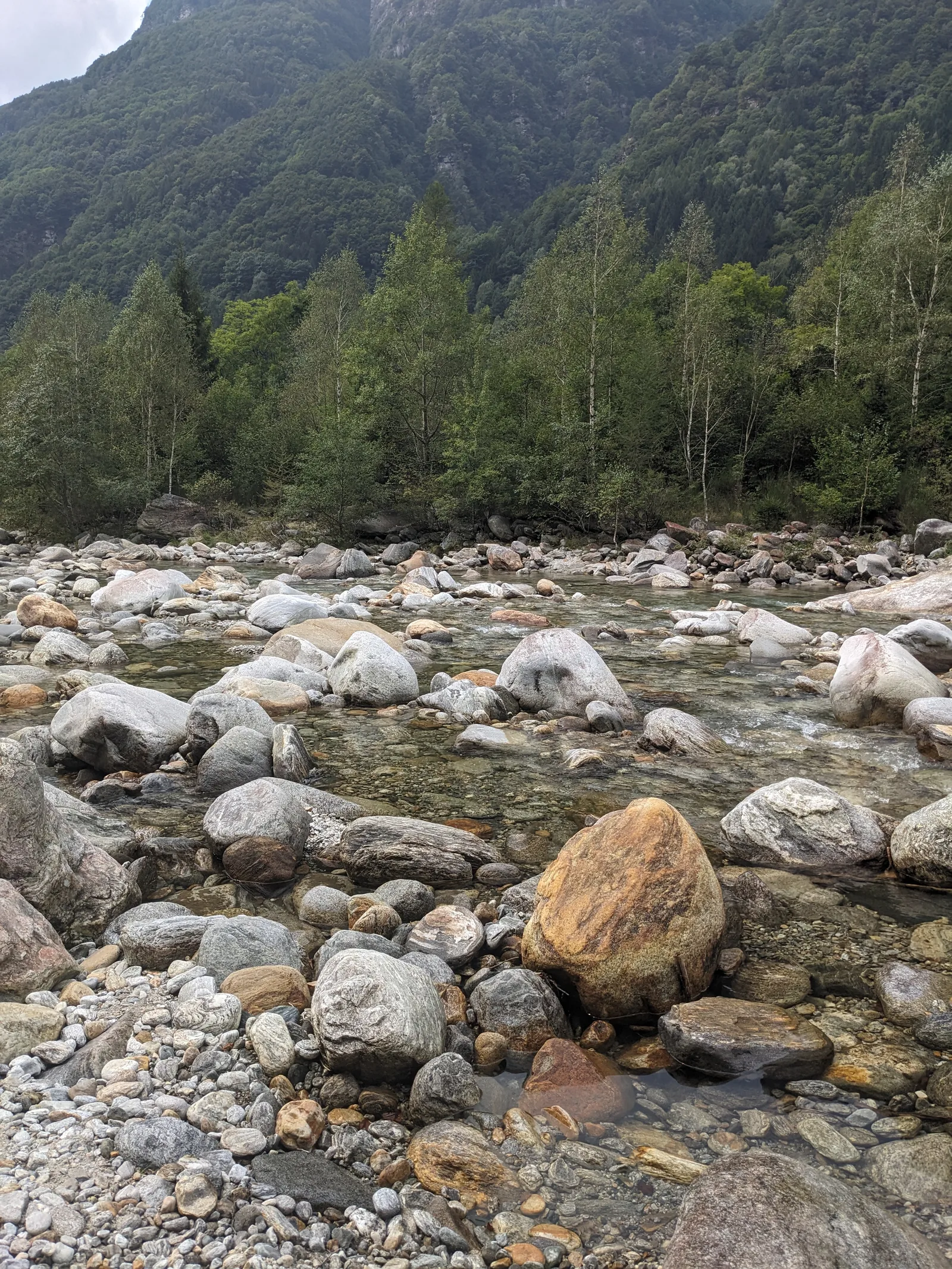 Bild 54