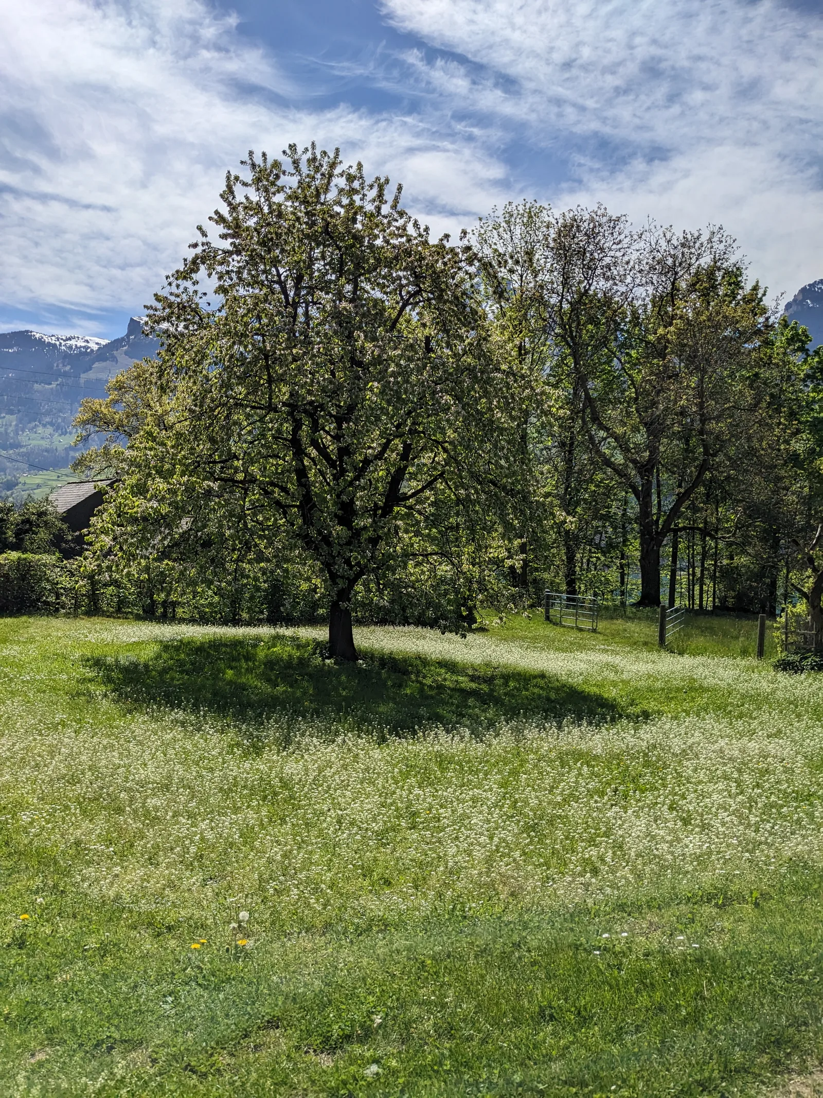 Bild 28