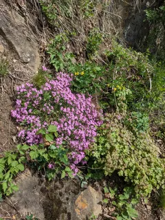 Bild 24