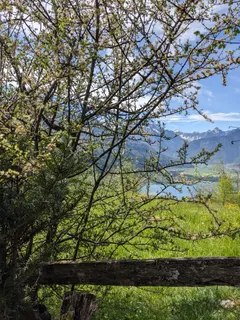 Bild 17