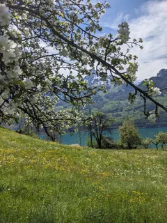 Bild 37