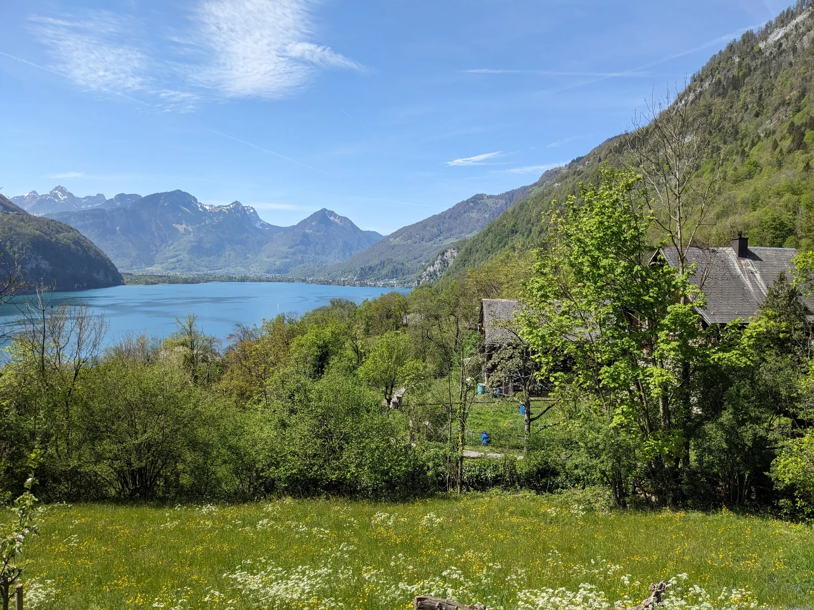 Bild 61