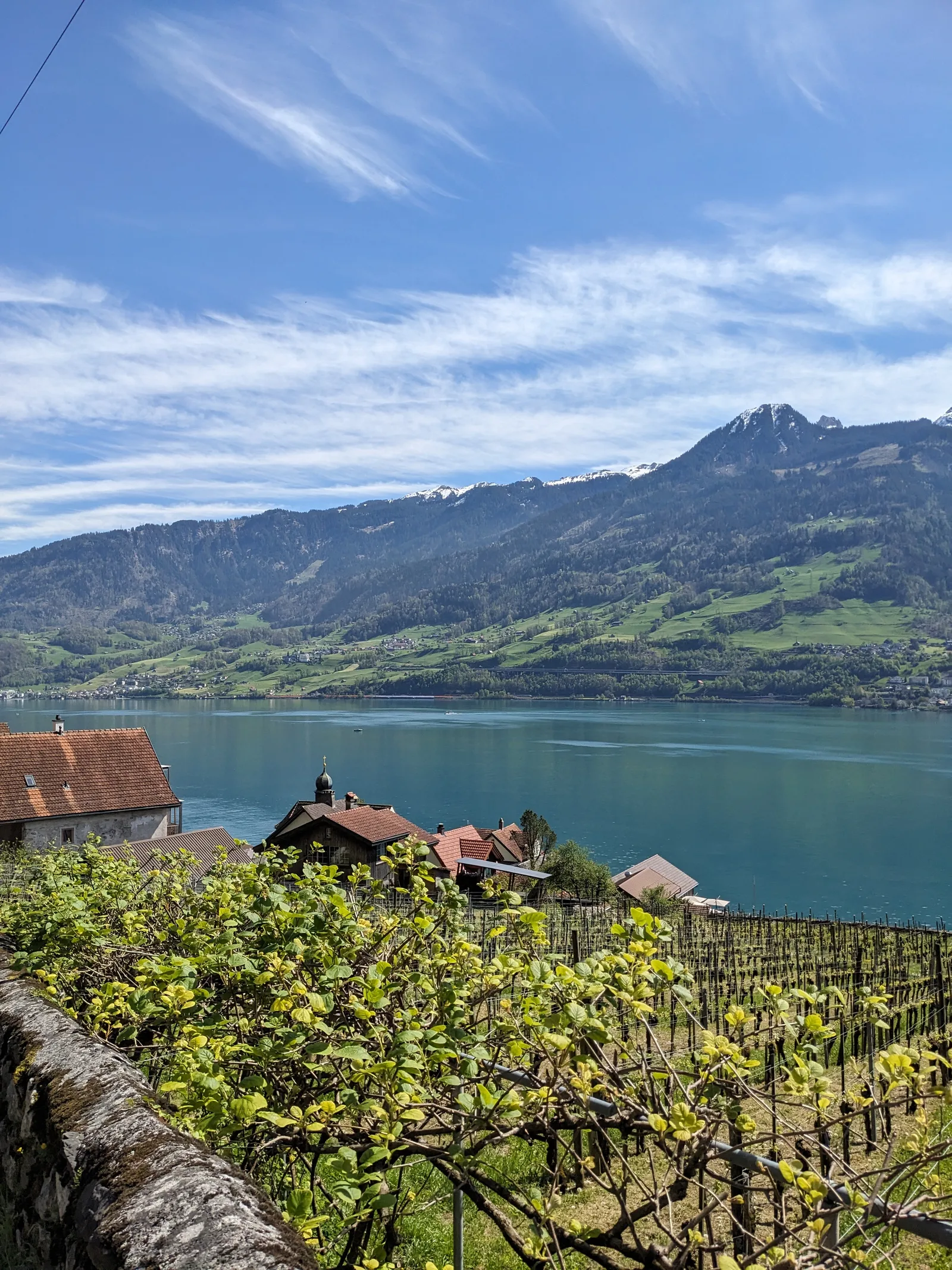 Bild 74