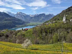 Bild 10