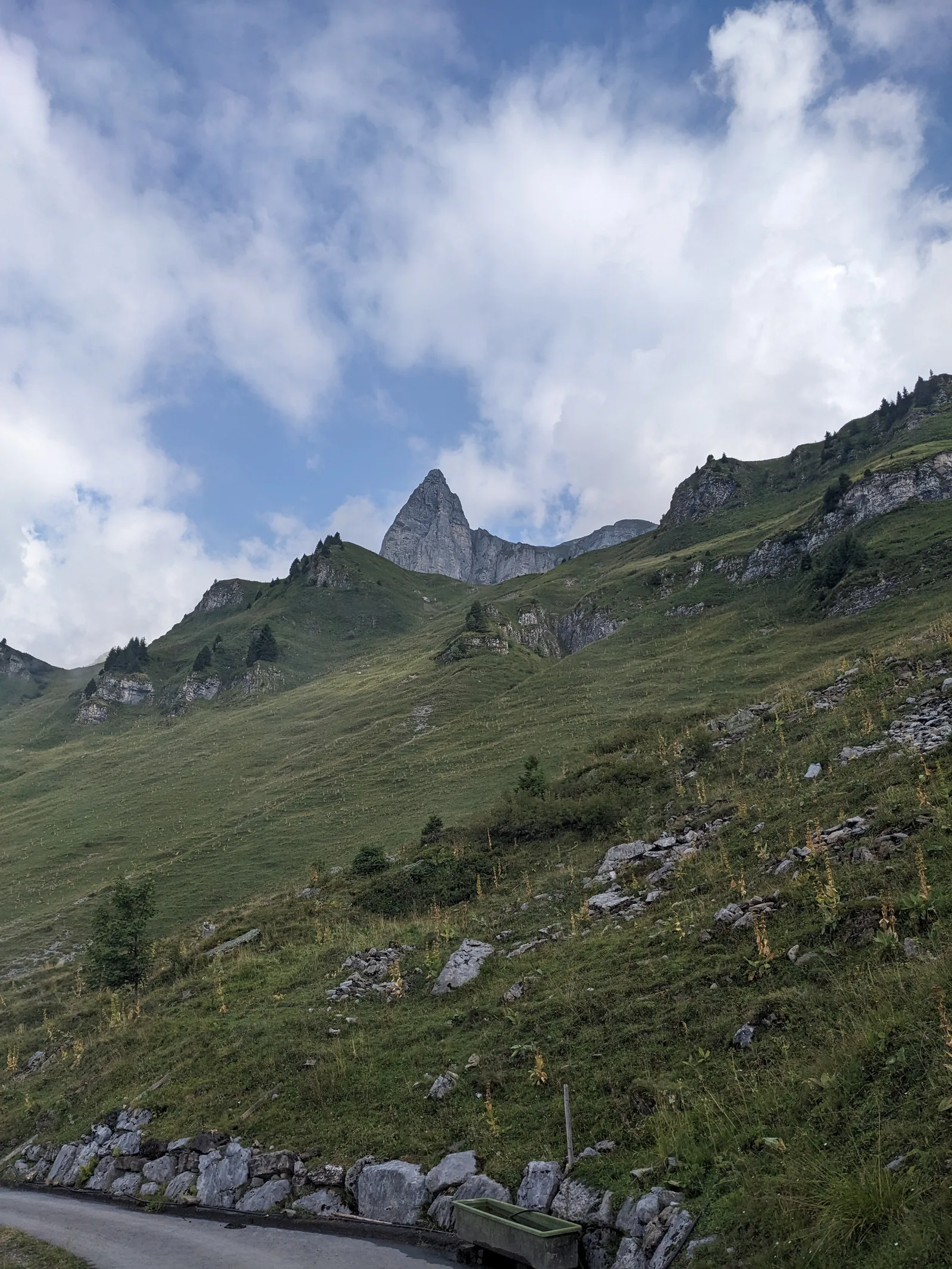 Bild 12