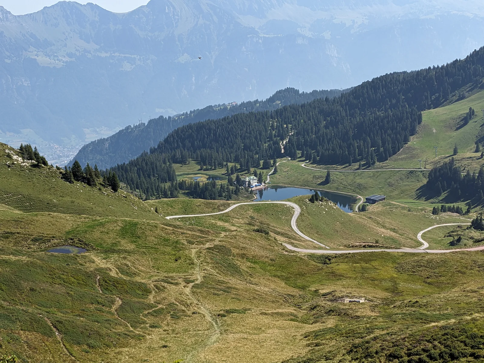 Bild 36