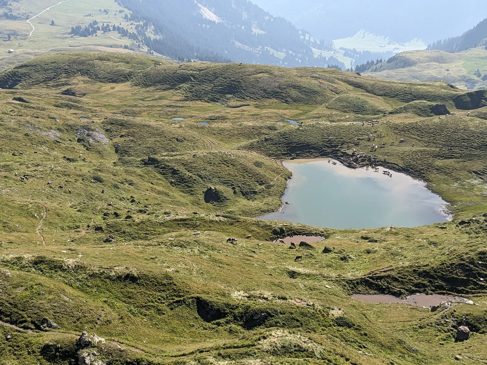 Bild 24