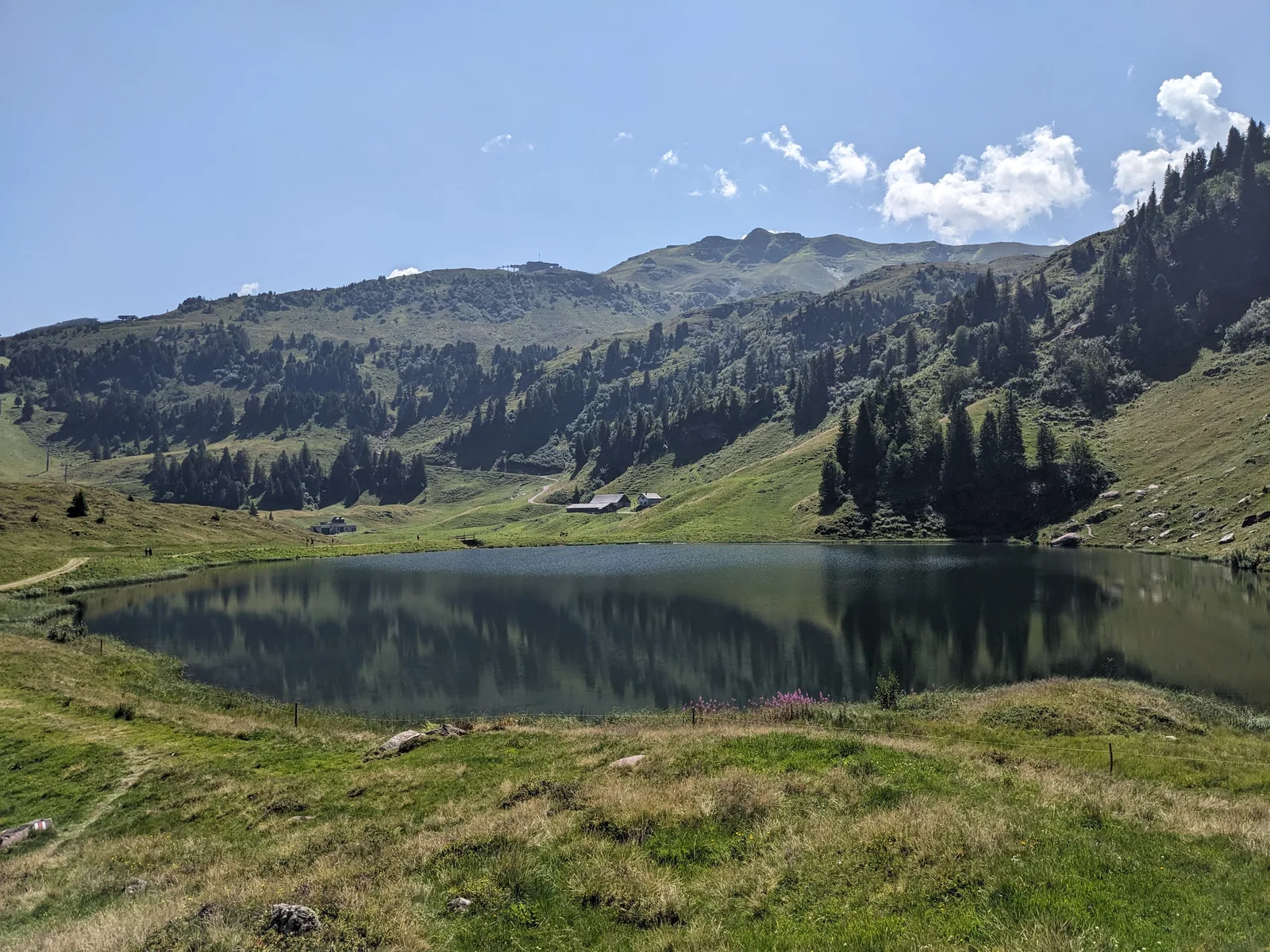 Bild 55