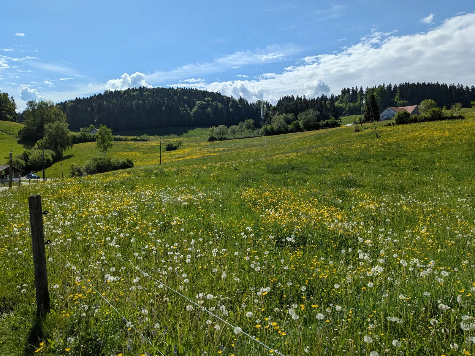 Bild 14