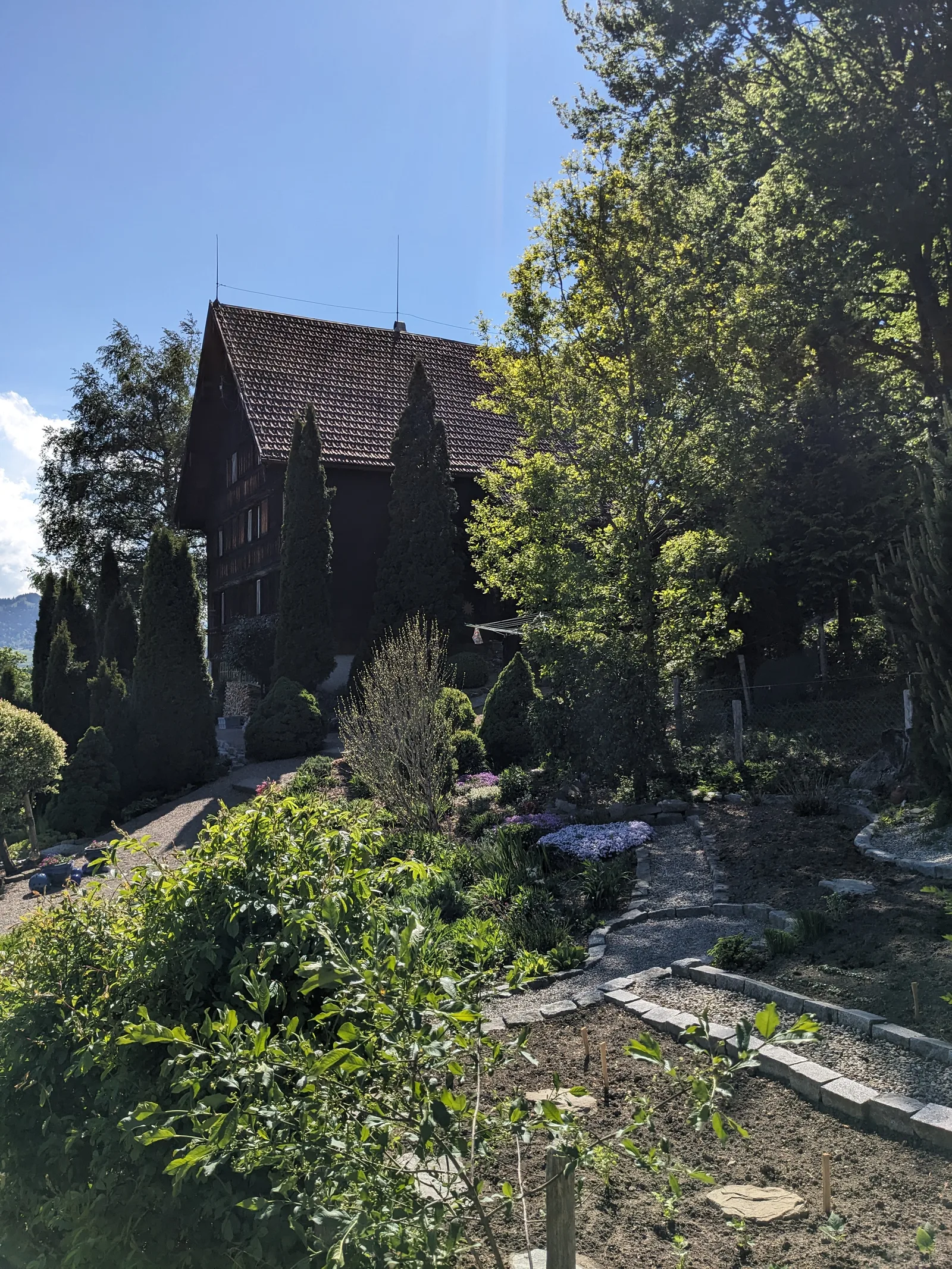 Bild 62