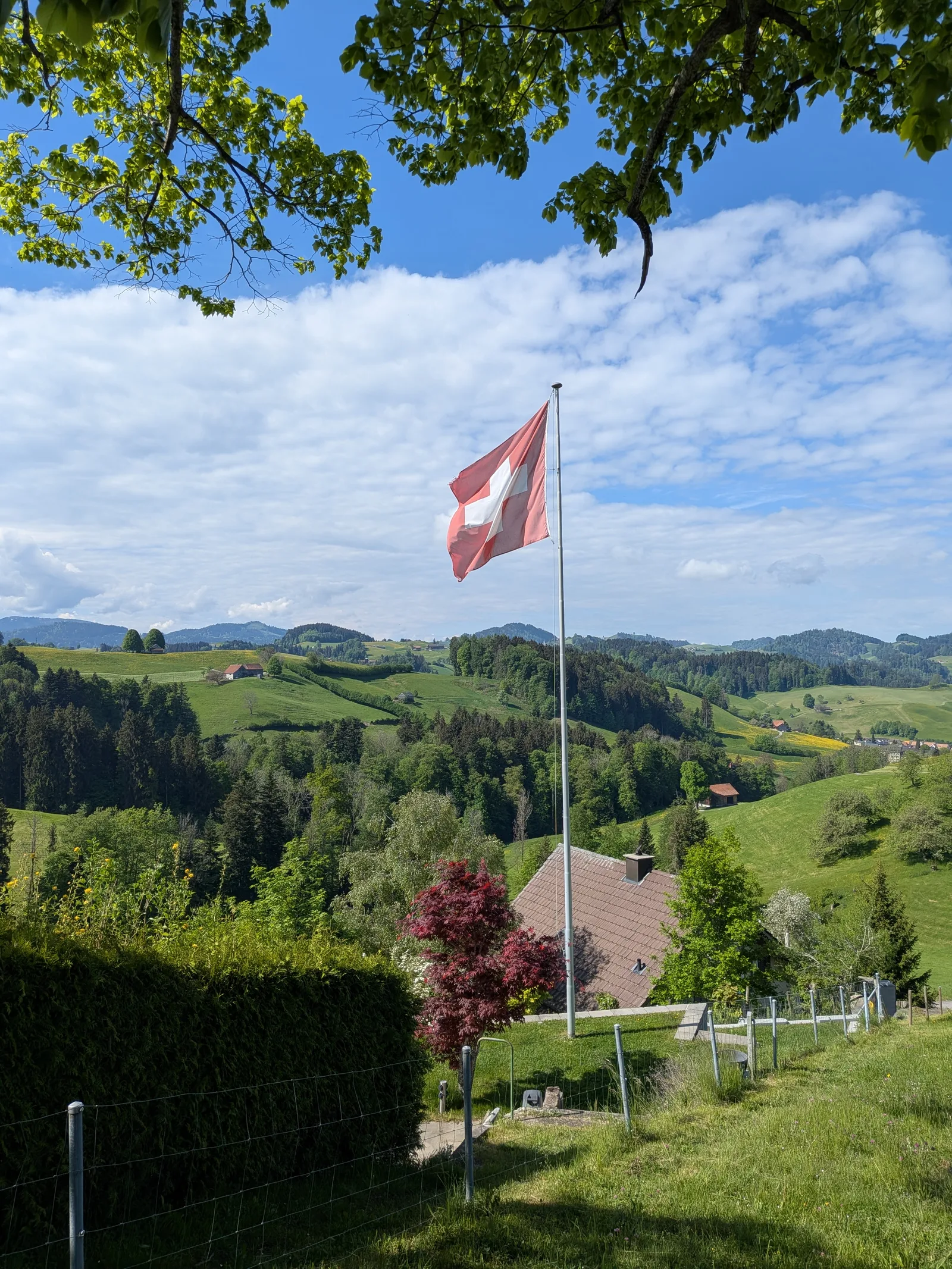Bild 12