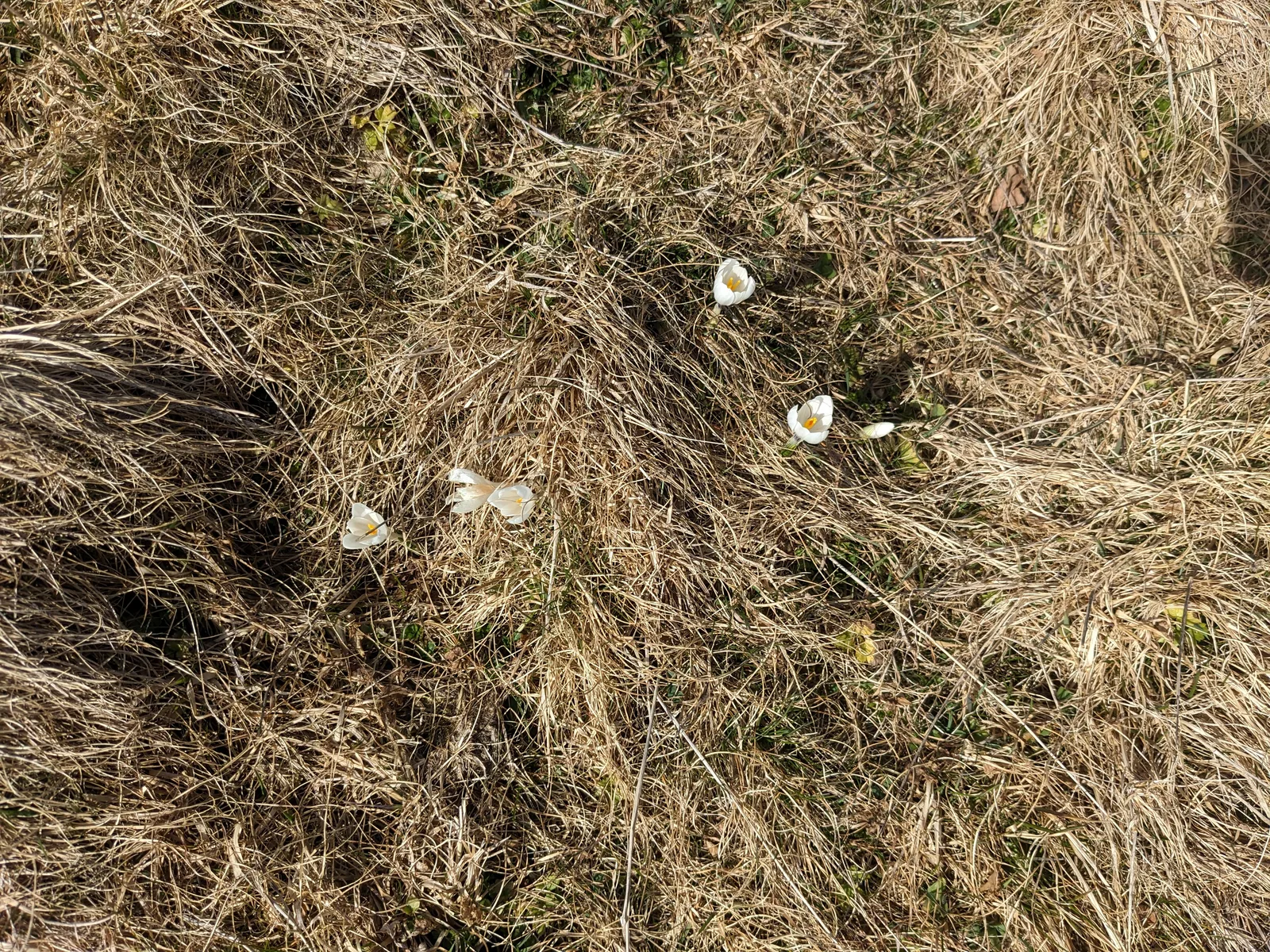 Bild 14